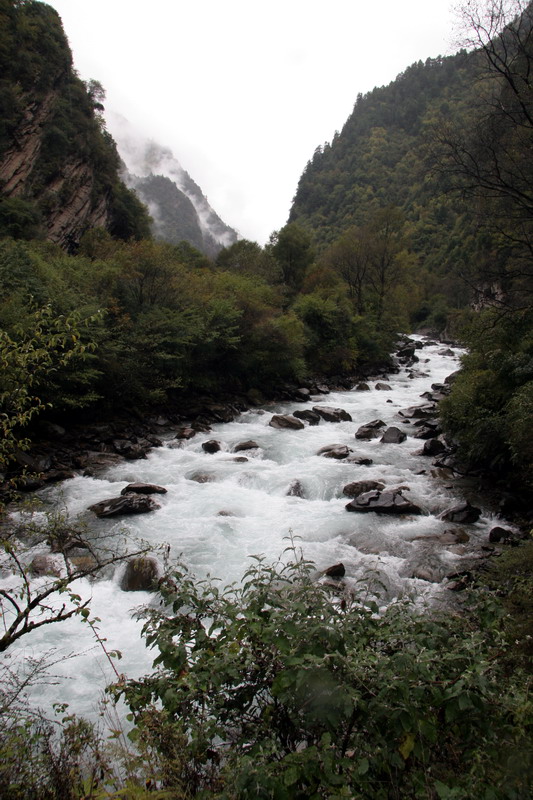 山水间 摄影 阳光森林