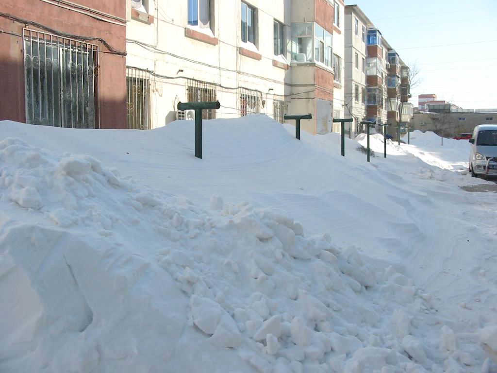 2006大雪 摄影 一老顽童