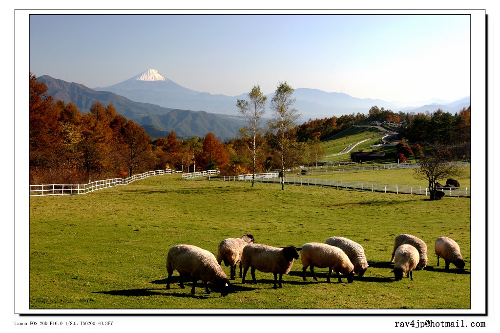 秋 摄影 fujiyama