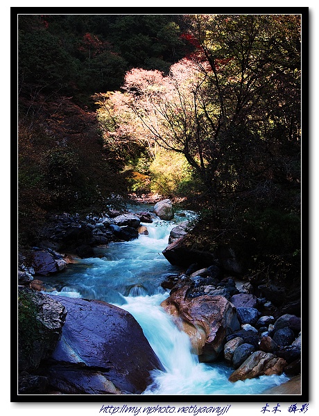 秋水流淌 摄影 木木