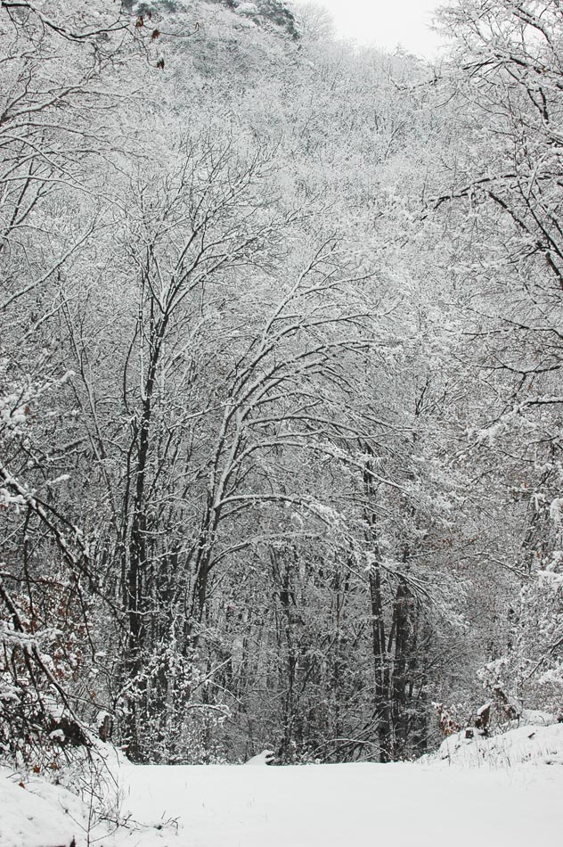 雪景3 摄影 金光勋