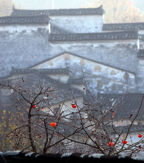 徽韵 摄影 杭州老潘