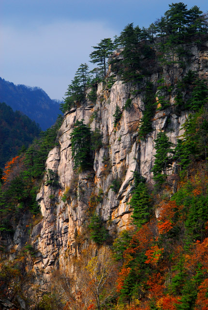 河南龙峪弯 摄影 山谷的风