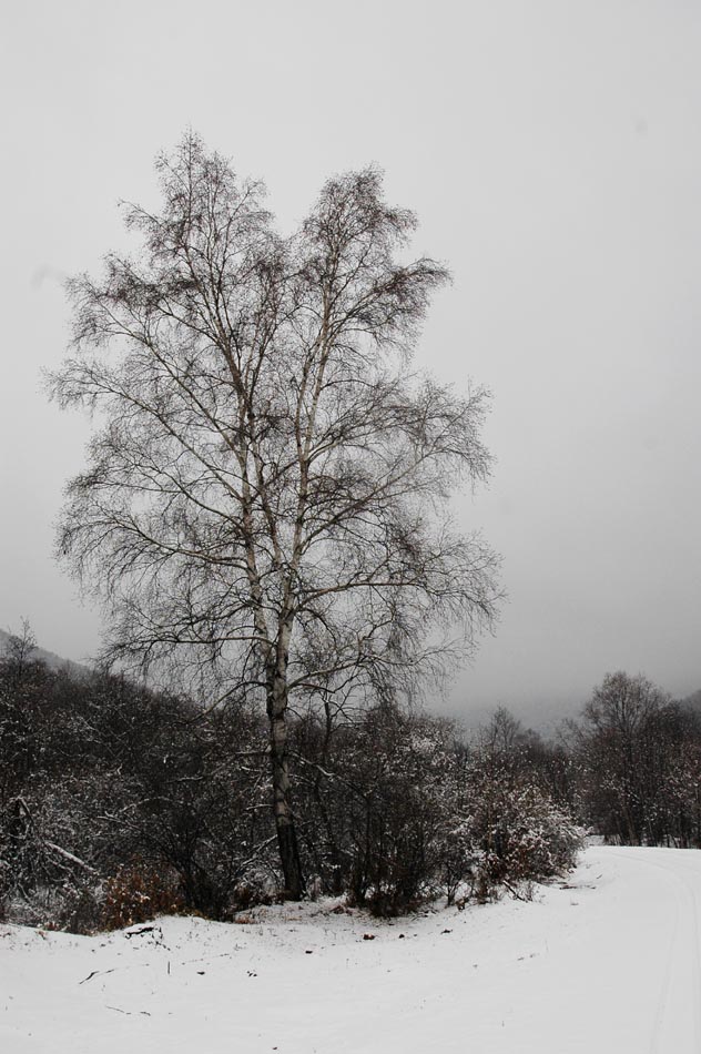 雪景 摄影 金光勋