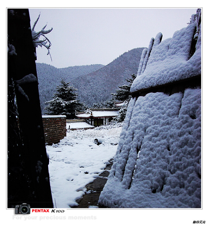 雪 摄影 幽谷无光