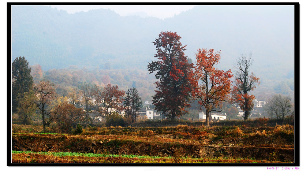 画里山村 摄影 秋水_伊人