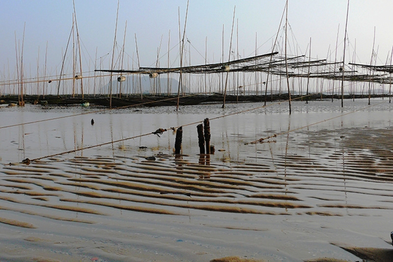 大海的记忆 摄影 海之鸥