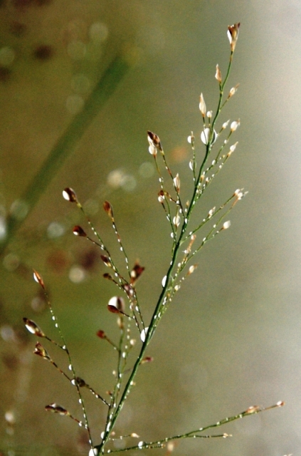 雨露 摄影 歪摄