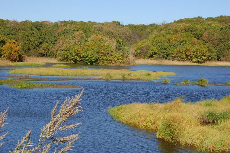 防川湿地自然保护区的水泡子 摄影 跨度30分