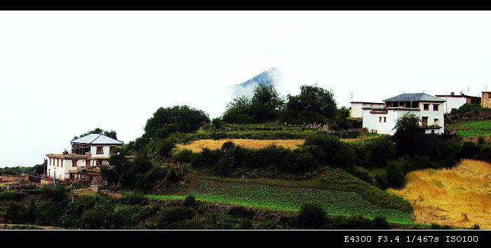 岭上风光 摄影 秋诗