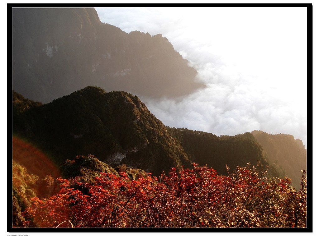 云涌峨嵋 摄影 石径