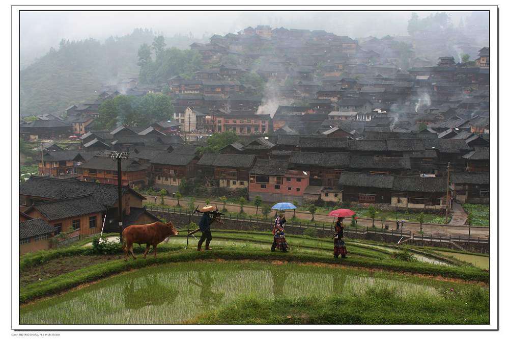 清晨的苗家 摄影 丝雨悠扬