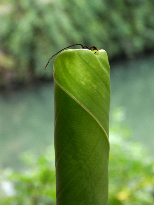 环保蜡烛 摄影 长林头角