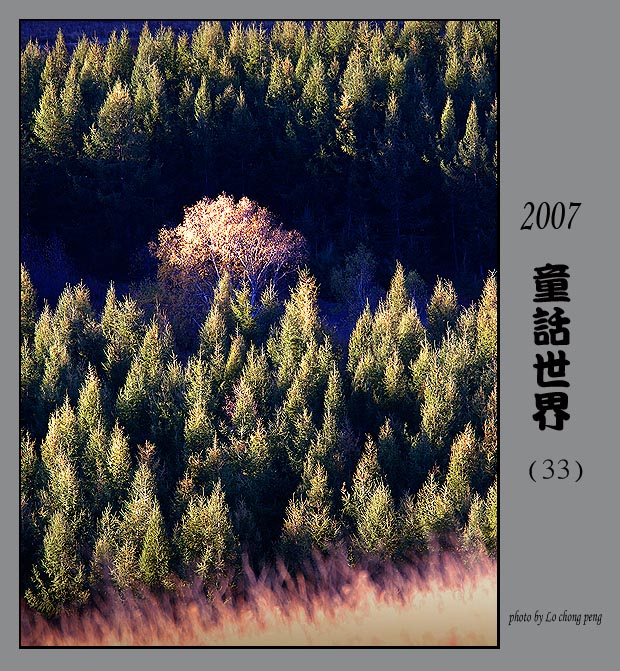 2007童话世界(33) 摄影 M小丙