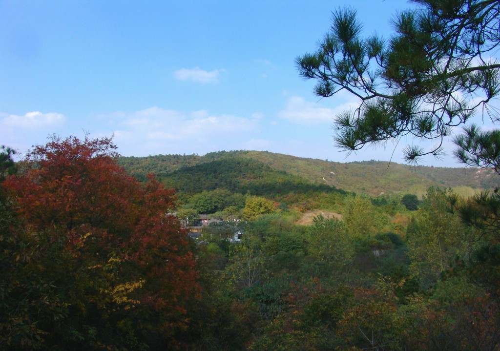 秋韵将军山 摄影 半黄梅子