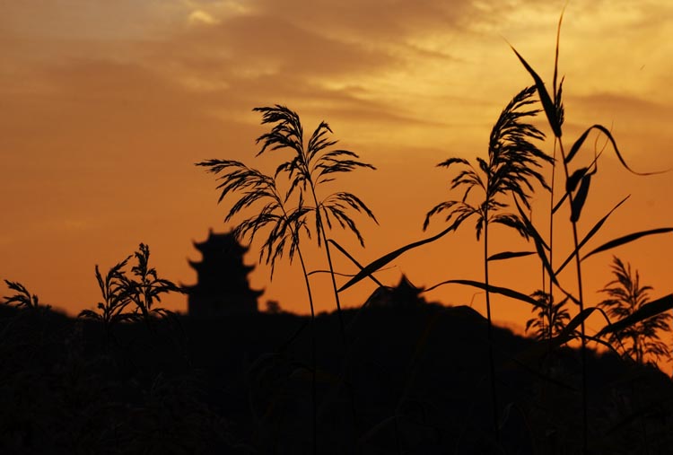 落照接钟声 摄影 花山大盗