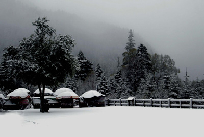 雪域九寨 摄影 龙泉无影.