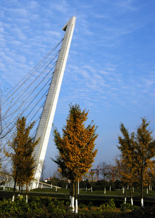 城市雕塑 摄影 台城松