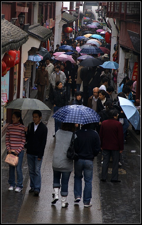 花开雨巷 摄影 萧音悠扬