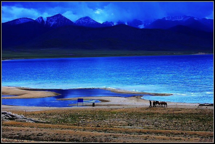 纳木错湖小景 摄影 老猿