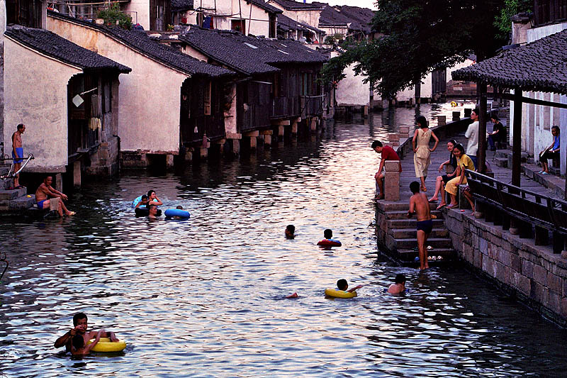 夏日水乡 摄影 沈建伟