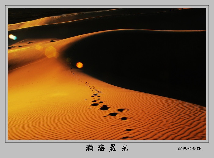瀚海晨光 摄影 西域之春
