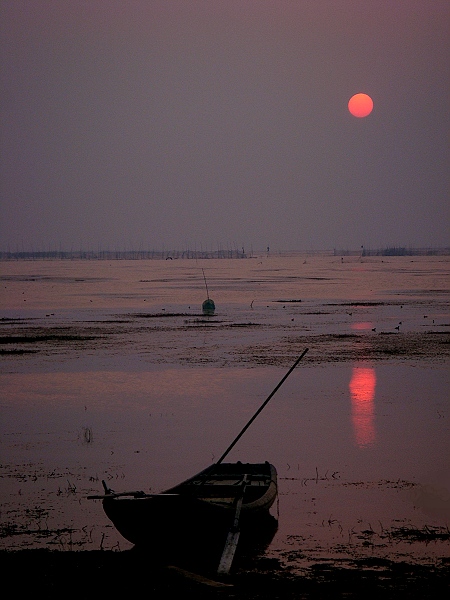 湖畔夕阳 摄影 蓝心鱼