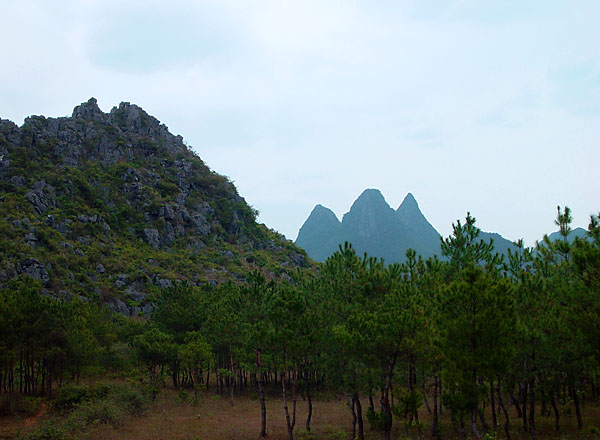 听松 摄影 榀琬