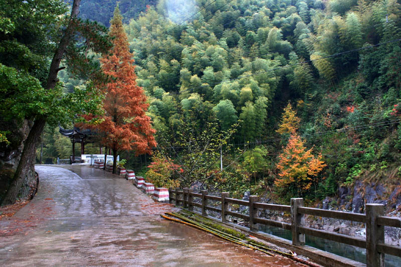 烟雨楠溪行 摄影 如诗入画