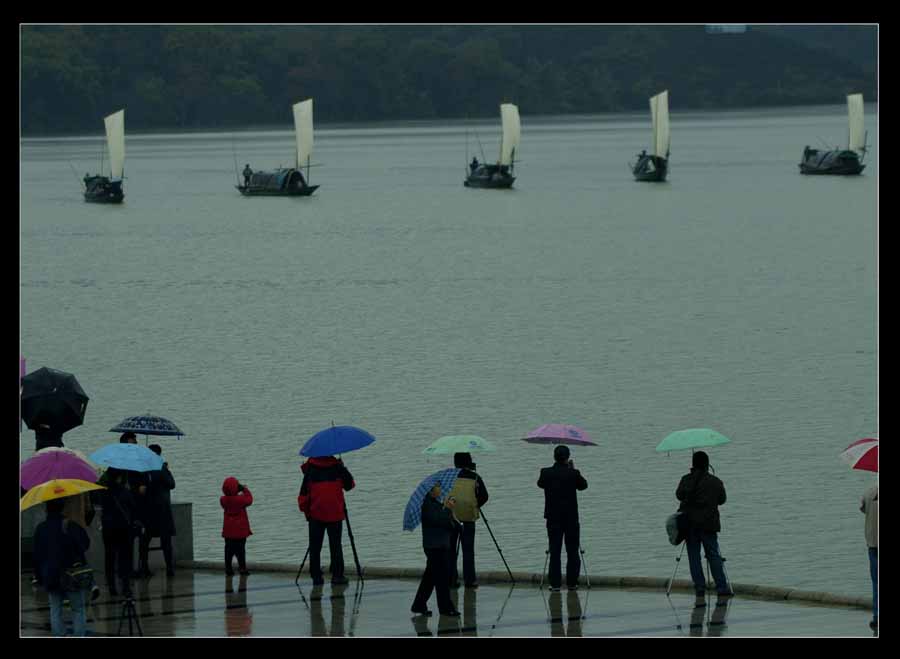 雨中猎奇 摄影 影色无忌