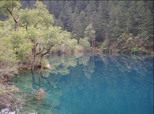 人间仙镜九寨沟 摄影 我主沉浮