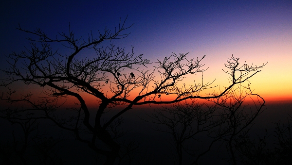 夕阳余辉 摄影 清水无梦