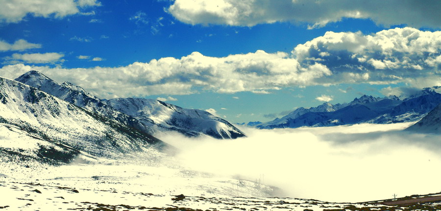 雪山 云海 摄影 飘雪儿