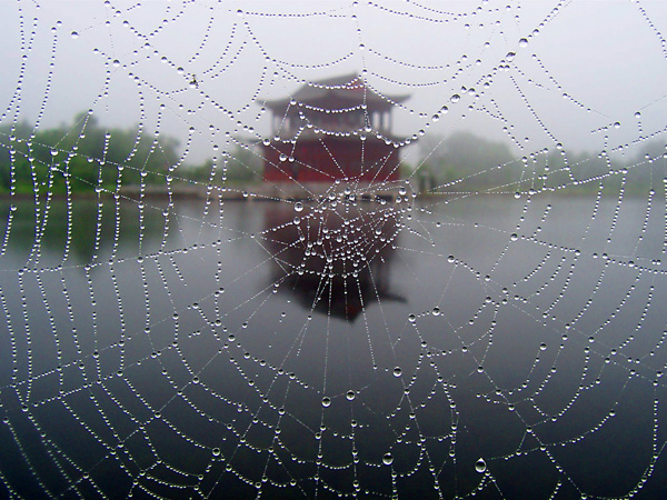 珠簾晨雾楼阁 摄影 山川之间