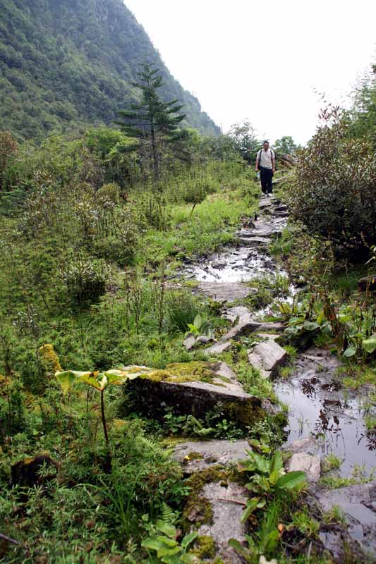 路（十 摄影 霞衣