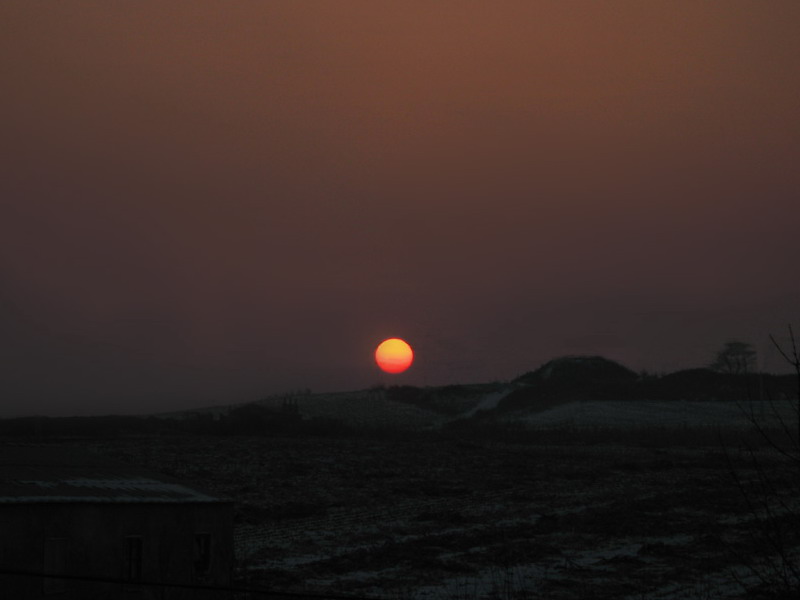 夕阳 摄影 草籽