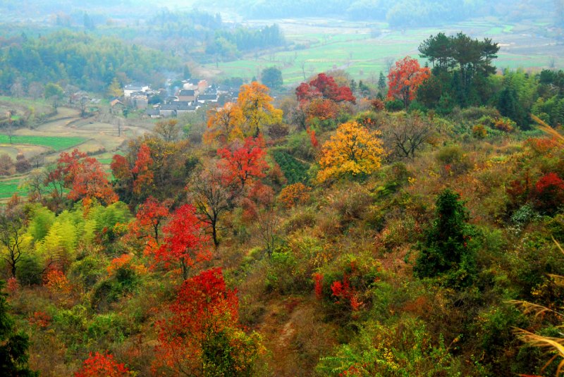 世外桃园？ 摄影 zhenshan