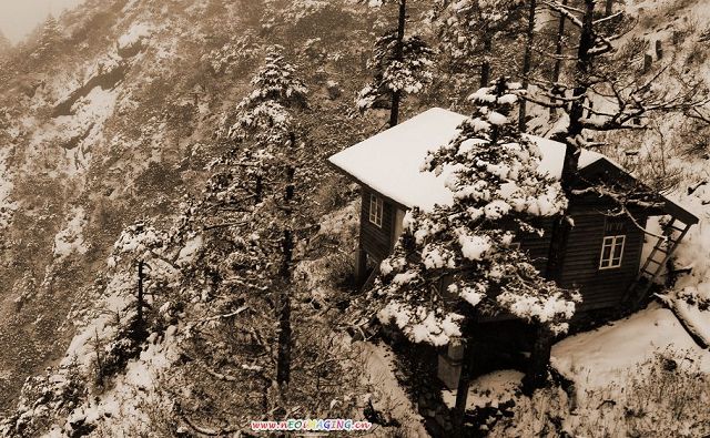 雪景 摄影 素心梅