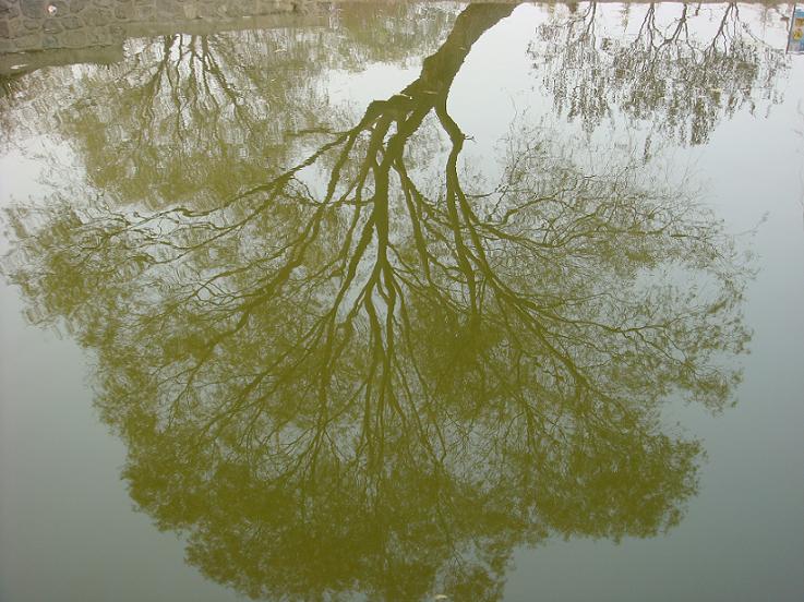 影子 摄影 涉水寻湖