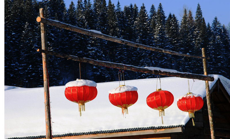 瑞雪丰年 摄影 庆安渔夫