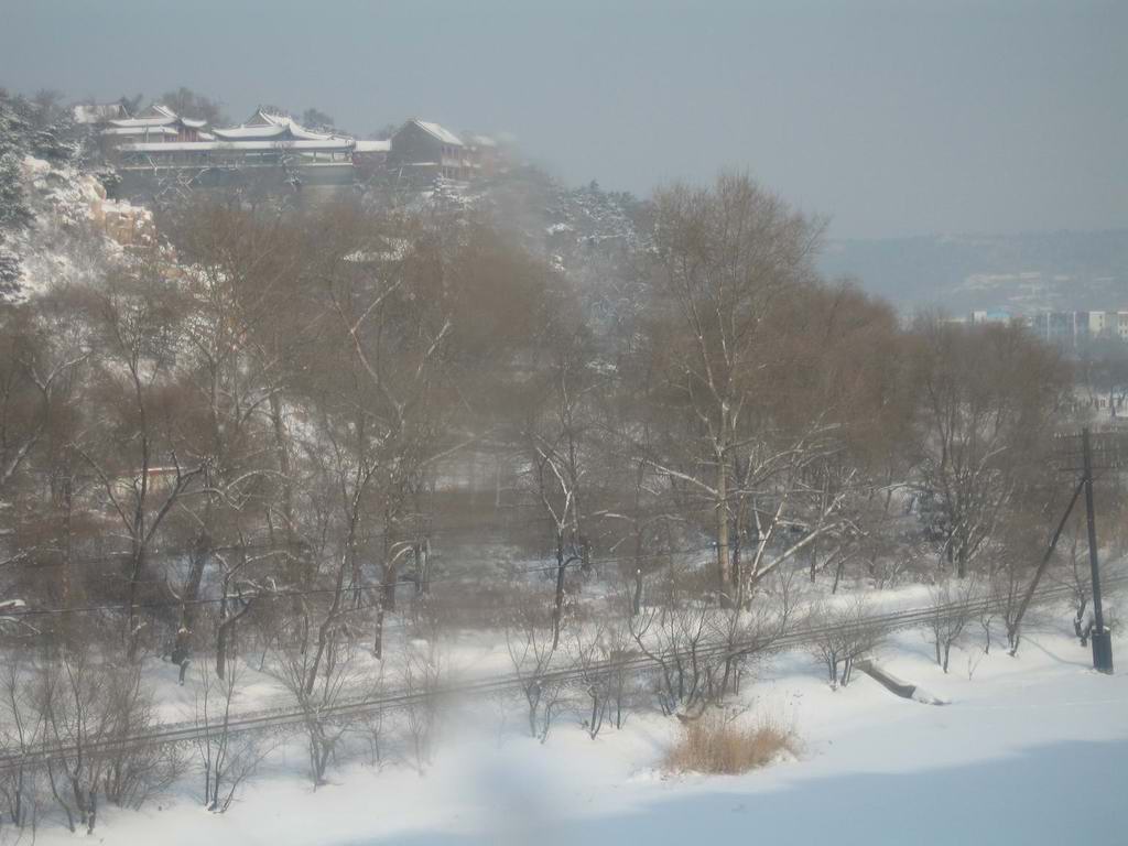 第一场雪 摄影 山川小溪