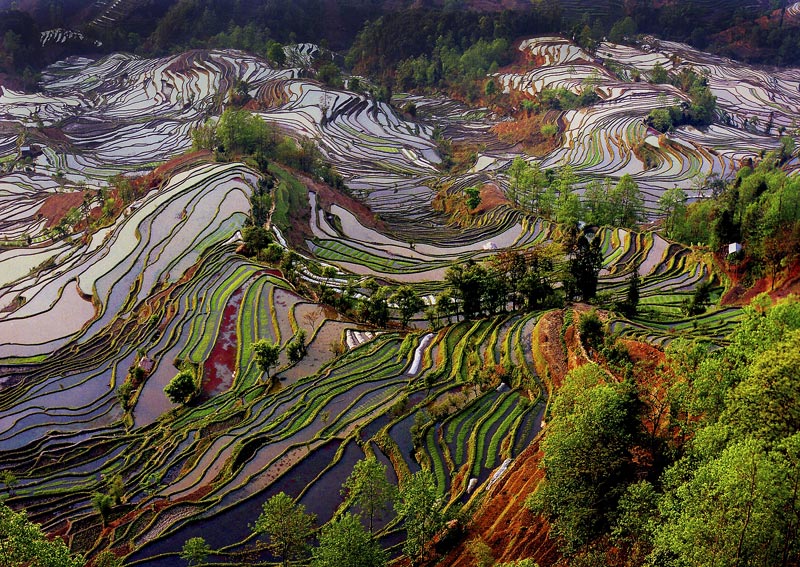 大地调色板 摄影 heiwa