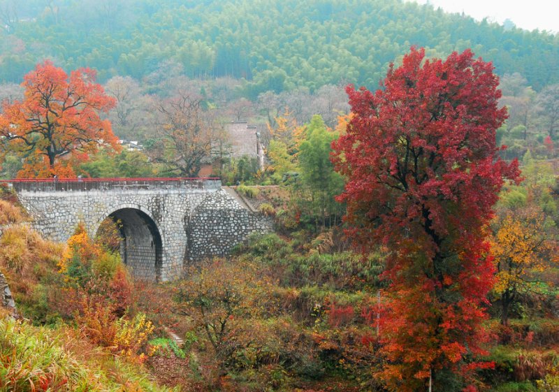 秋景 摄影 zhenshan