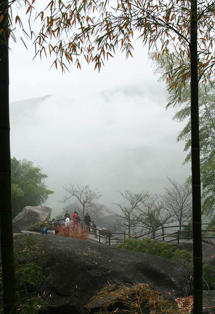 雾漫山乡 摄影 五月天