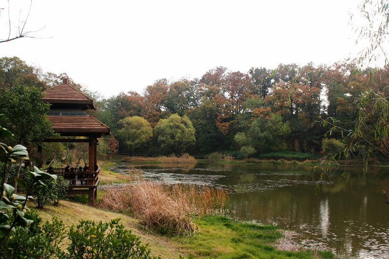 东郊秋景 摄影 衣袂飘飘