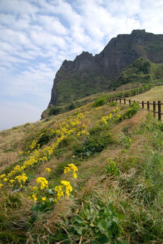 济州岛成山日出峰 摄影 合静宜真