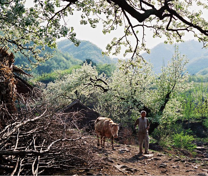 回村 摄影 筱竹