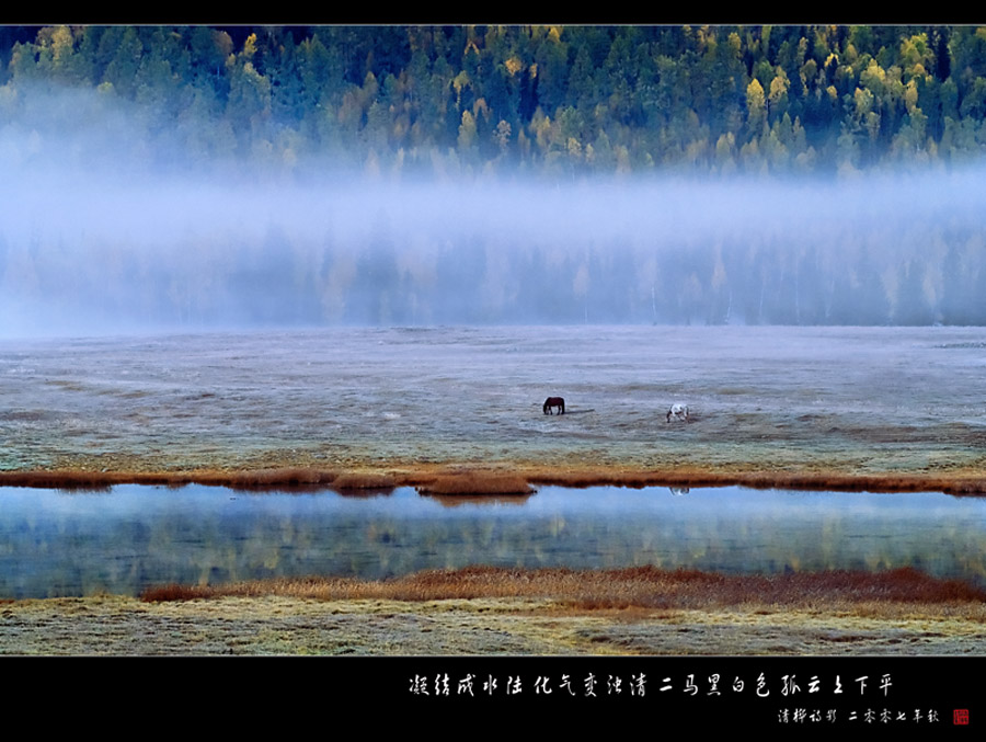 二马黑白色 摄影 huazhu