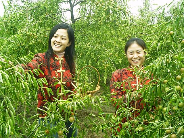 乡村游 摄影 张学荣