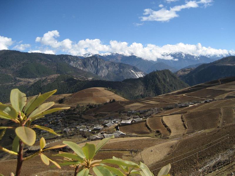 香格里拉梯田 摄影 千年榕树